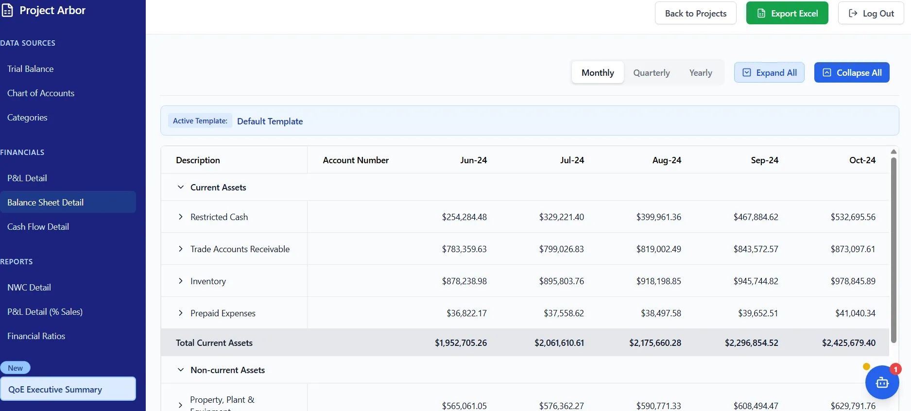 Balance Sheet Preview